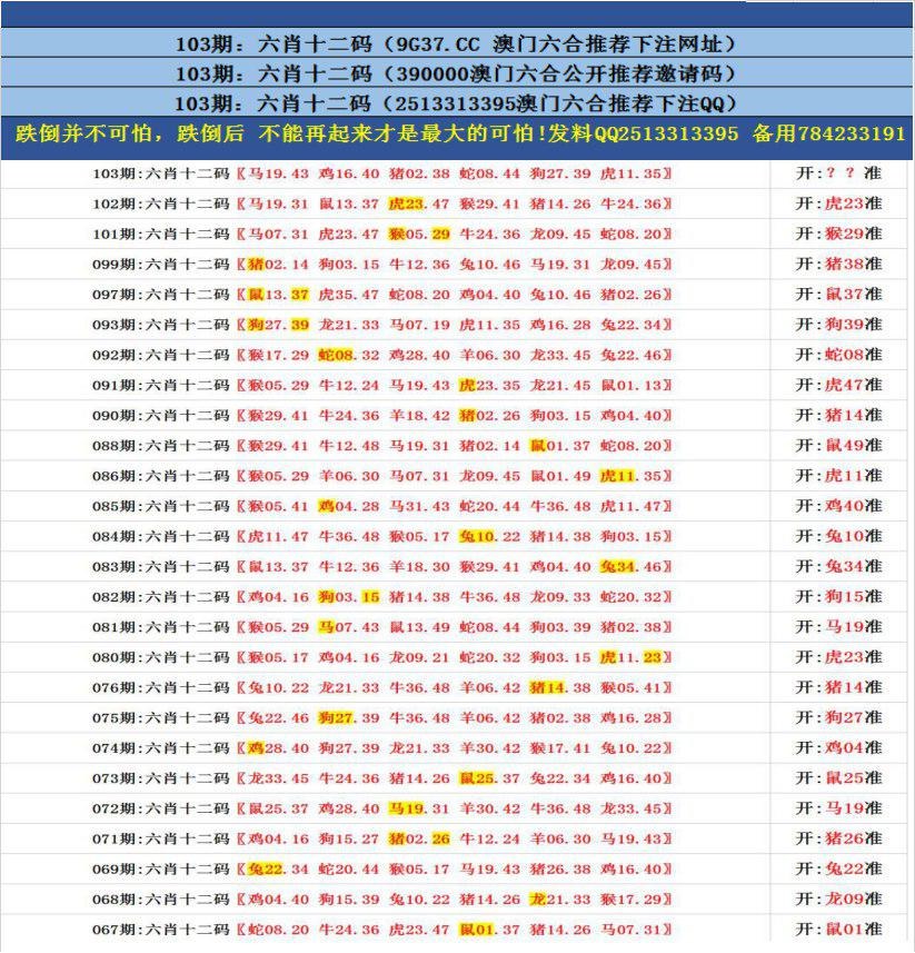 澳门最近十五期开奖结果,豪华精英版79.26.45-江GO121,127.13