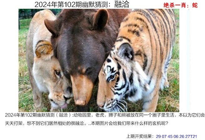 2023澳门王中王免费资料查询,数据解释落实_整合版121,127.13