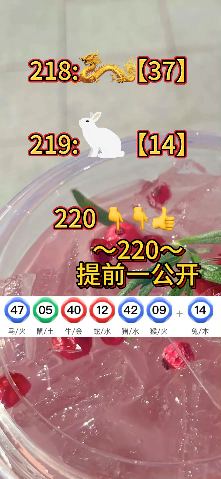 澳门资料正版开奖结果金牛,豪华精英版79.26.45-江GO121,127.13