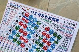 新澳门2023年精准一肖一码,最新答案动态解析_vip2121,127.13