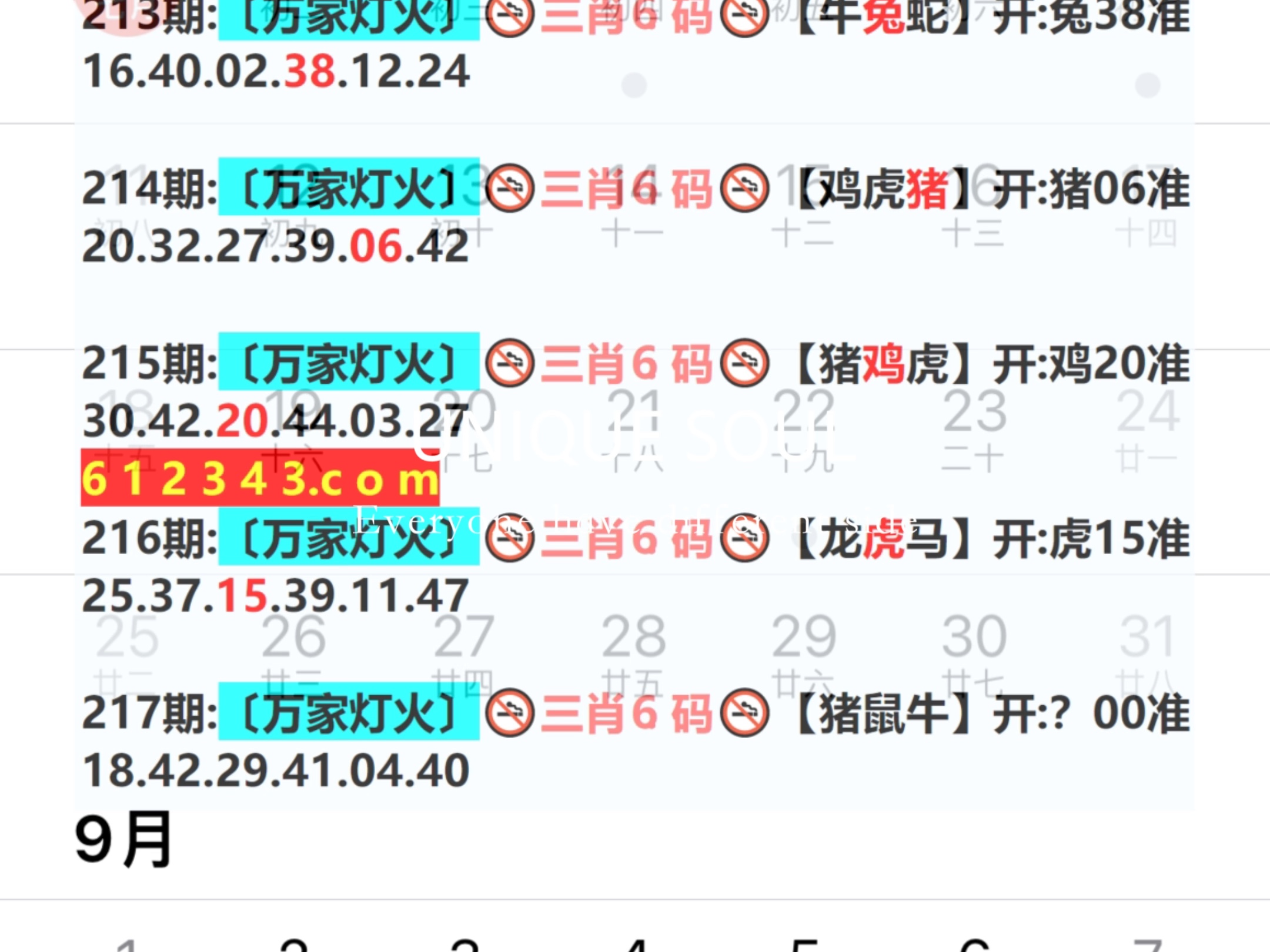 4949澳门开奖结果开奖记录9,数据整合方案实施_投资版121,127.13