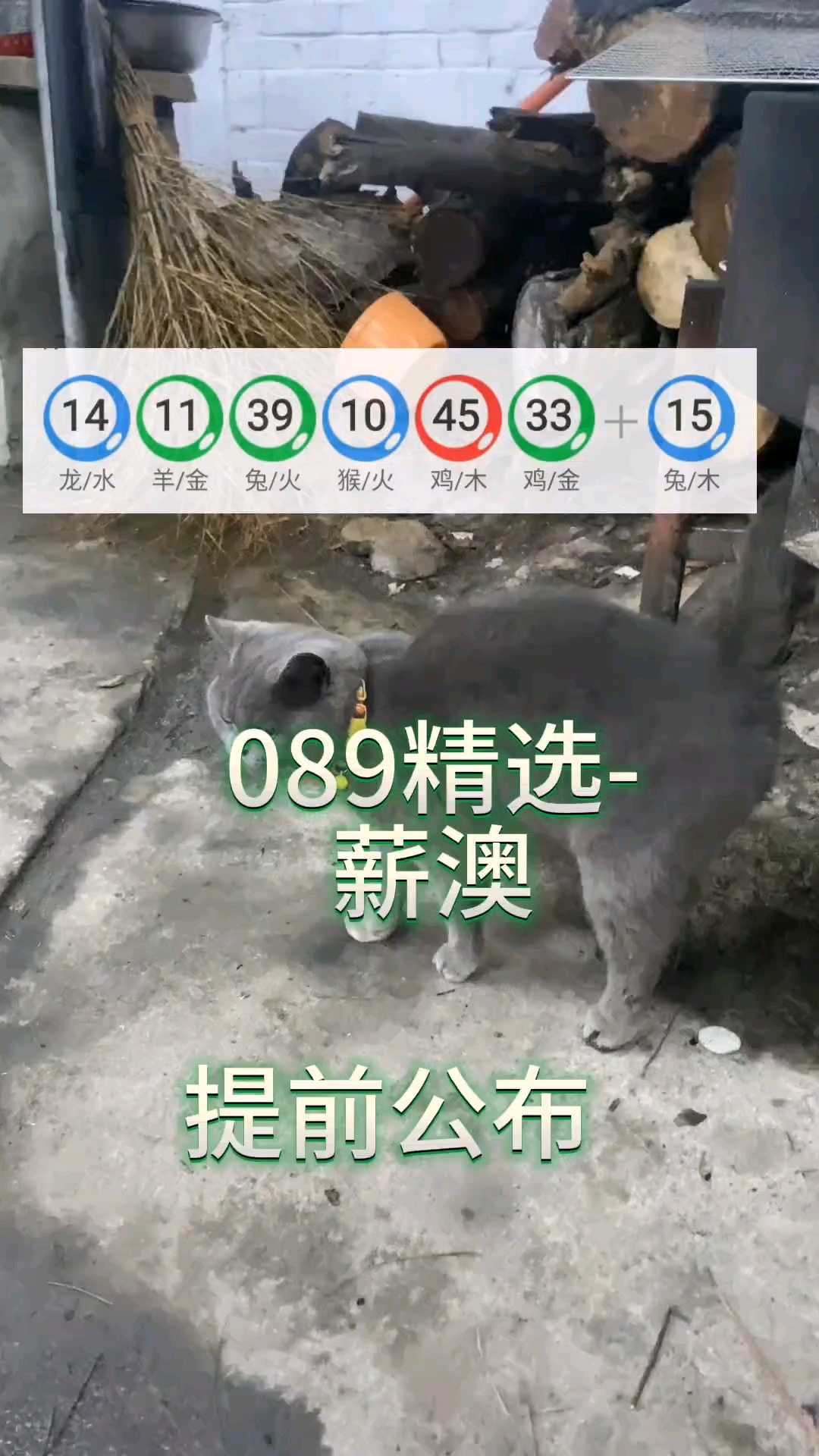 澳门六叔公论坛资料网站,准确答案解释落实_3DM4121,127.13