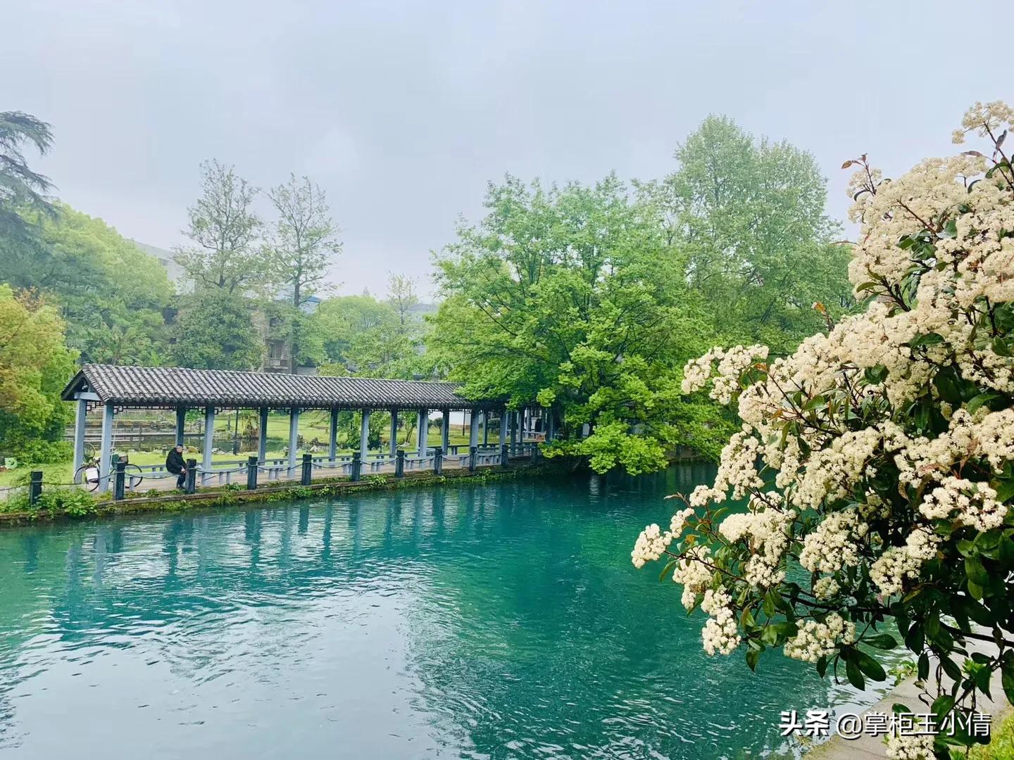 春菜花电影网