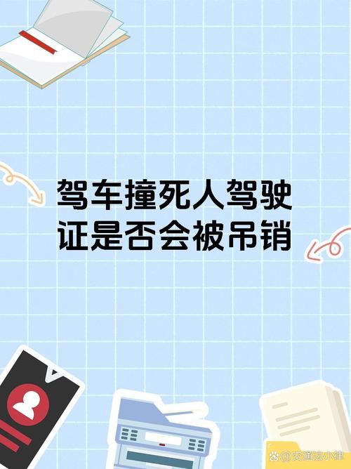 2025港澳免费资料大全和干部驾车致男童死亡与干部开车撞人怎么处理