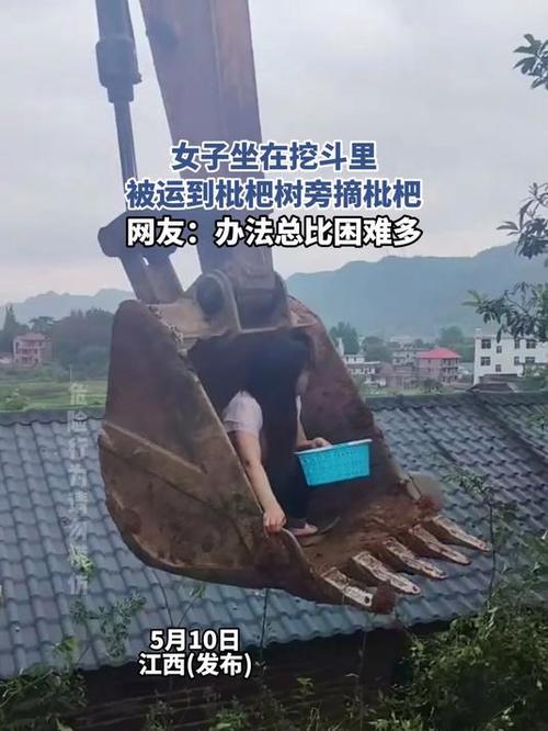 今晚开特马+开奖结果91和老人上树摘枇杷被困与爬树摘枇杷