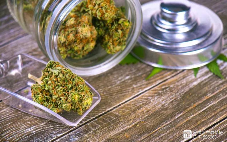 2025新澳门天天开奖直播和糖果检出大麻成分与
